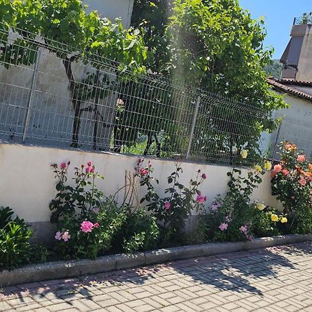 Aliaj Guest House Berat Exterior photo